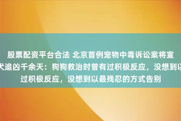 股票配资平台合法 北京首例宠物中毒诉讼案将宣判,主人辞职为爱犬追凶千余天:狗狗救治时曾有过积极反应,没想到以最残忍的方式告别