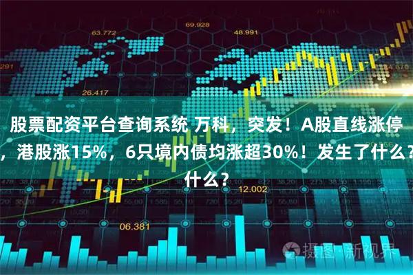 股票配资平台查询系统 万科，突发！A股直线涨停，港股涨15%，6只境内债均涨超30%！发生了什么？