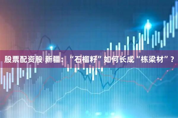 股票配资股 新疆：“石榴籽”如何长成“栋梁材”？