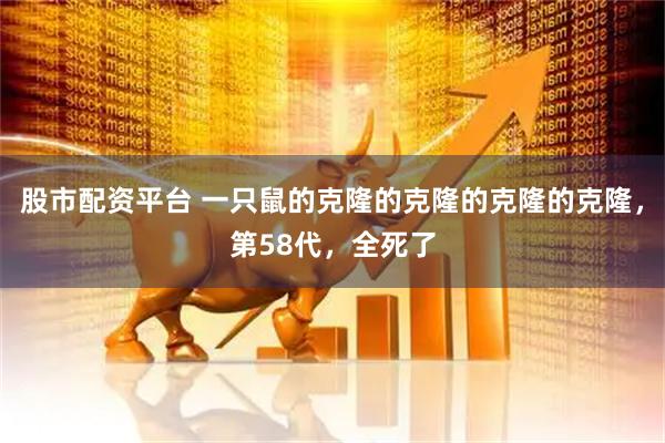 股市配资平台 一只鼠的克隆的克隆的克隆的克隆，第58代，全死了