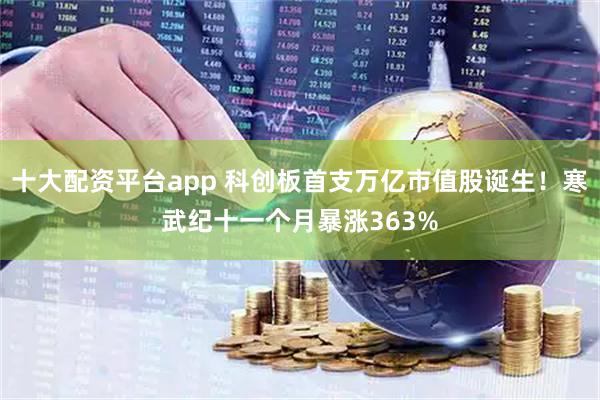 十大配资平台app 科创板首支万亿市值股诞生！寒武纪十一个月暴涨363%